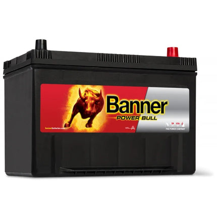 Banner POWER BULL P95 04 ASIA - Hischier Auto AG