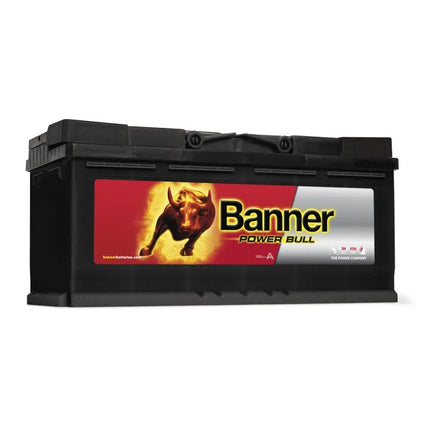 Banner POWER BULL P110 40 - Hischier Auto AG