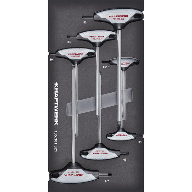 T-Griff Innensechskant Kugelkopf 7-tlg. 20x40 Einlage 105.301.021 - Hischier Auto AG