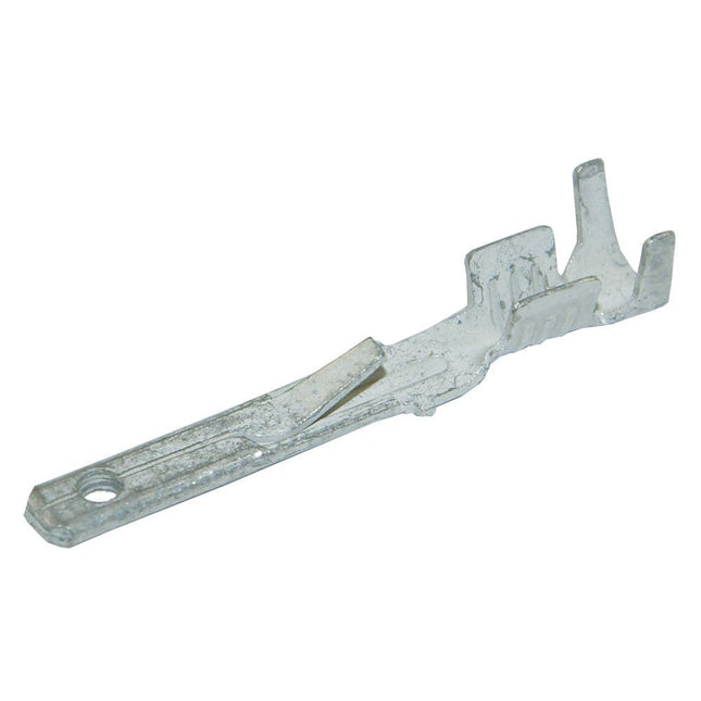 Flachsteckzunge blank mit Nase 2.8 mm 240215N/8