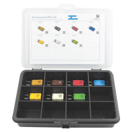 Sicherungsautomaten-Sortiment MINI 5-30A 1620Sort - Hischier Auto AG
