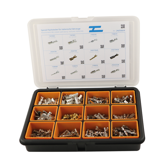 Sortiment Spezial-Flachstecker für ital. Fahrzge 242500/II - Hischier Auto AG