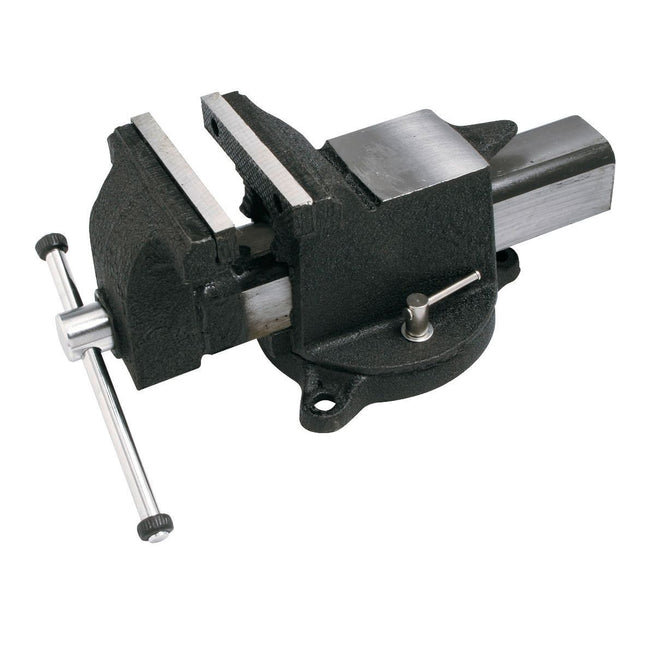 Stahl-Schraubstock 125 mm / 5 2962 - Hischier Auto AG