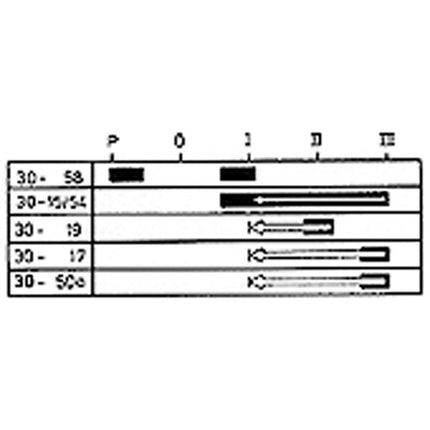 Glüh-Startschalter Typ Merit mit Kragenschlüssel