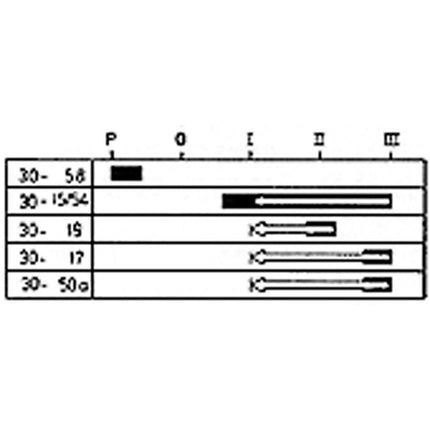 Glüh-Startschalter Typ Merit mit Kragenschlüssel