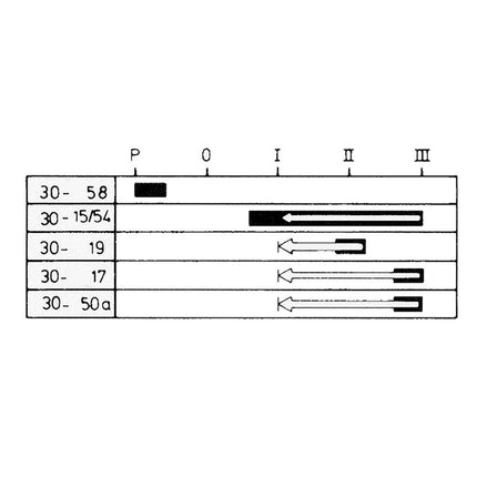 Glüh-Startschalter Typ Merit mit Parkstellung