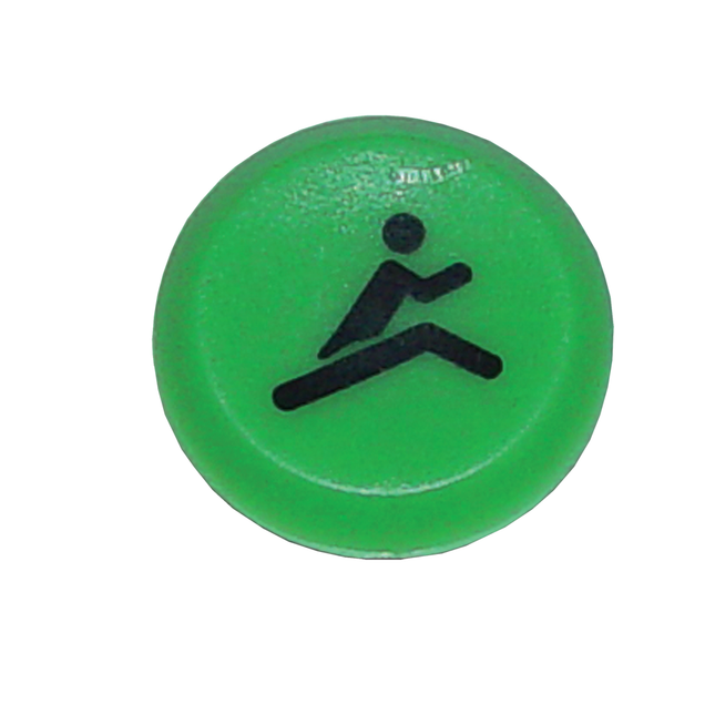 Pneutron Emblem "schnell grün"