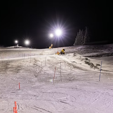 Hochleistungs LED Flächenstrahler BEAM VARIO - 4433 - 1 - Stück Nordride