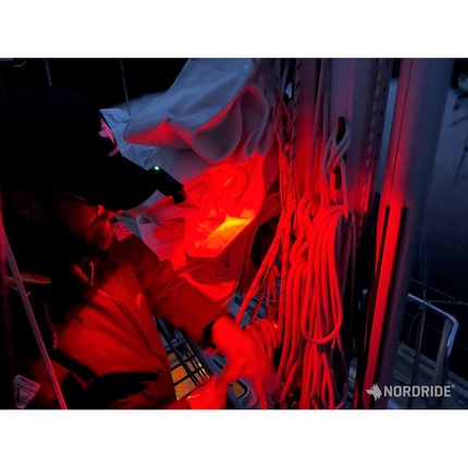 Pocket LED-Leuchte SCOUT mit rotierbarem Lampenkopf 5070 - Hischier Auto AG