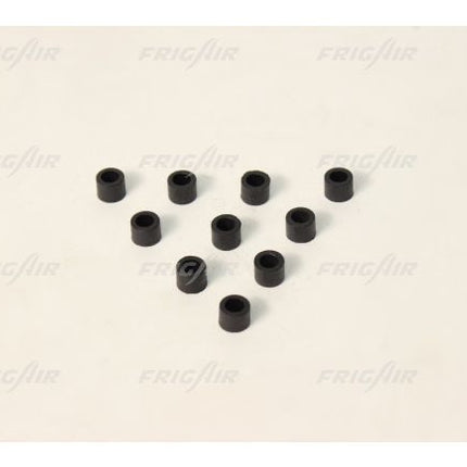O-Ring Frigair