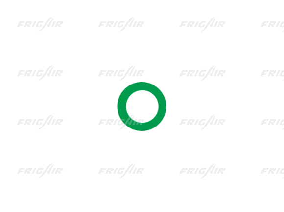 O-Ring Frigair