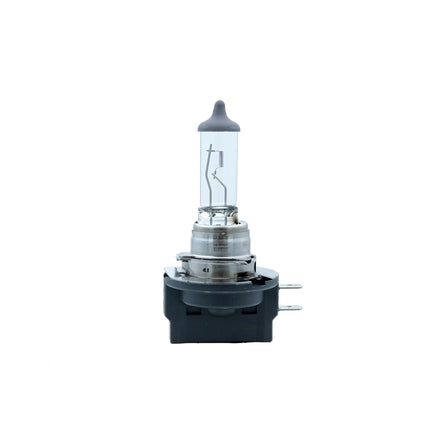 Osram H11B 12 V Faltschachtel - 64241 - 1 - Stück OSRAM