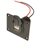 Einbausteckdose mit Montageplatte - 2 x USB-A 67322100