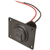 Einbausteckdose mit Montageplatte - 2 x USB-A 67322100