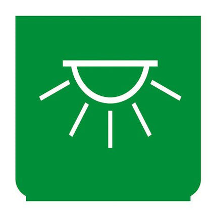 Emblem - Innenbeleuchtung grün - 1 - Stück ENG