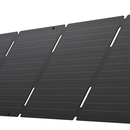 EcoFlow – Mono-Solarpanel, faltbar, 60 W, mit USB-C-Anschluss
