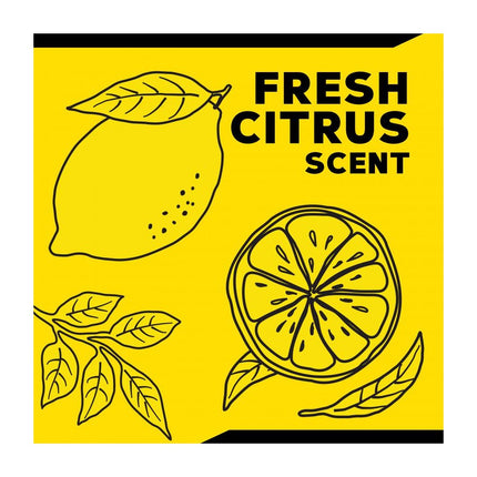 Meguiar's All Surface Interior Cleaner Spray 473 ml - Hischier Auto AG