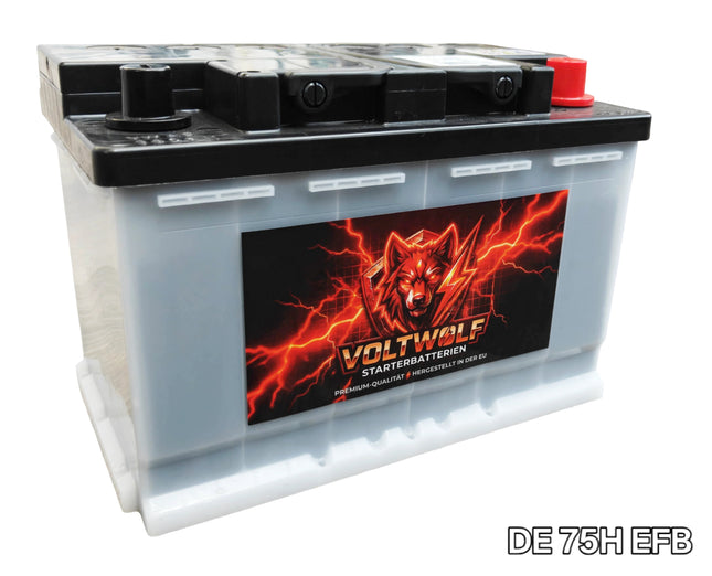 Starterbatterie Voltwolf DE 75H EFB (75Ah) Voltwolf