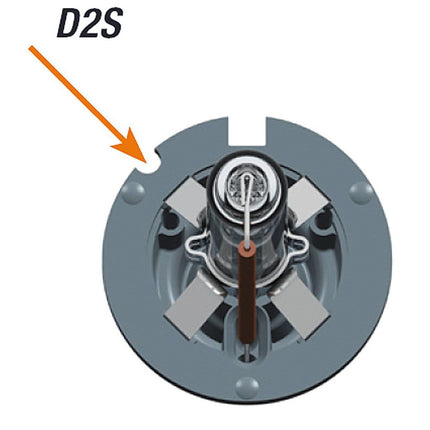 Osram Gasentladungslampe Xenarc D2S 35 W CBN 66240CBN - Hischier Auto AG