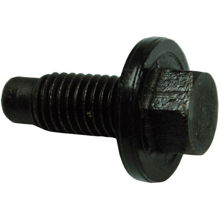Ölablassschraube mit Dichtung M14 x 1.5 x 20  Ford D69894 - Hischier Auto AG