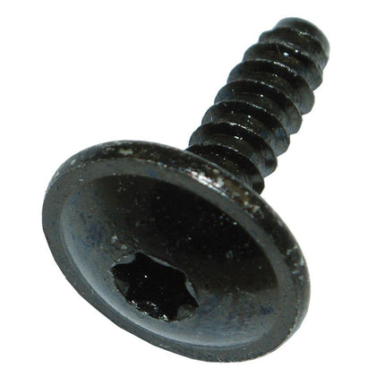 Kennzeichen-Schraube VW TORX 4.8 x 16 D89637 - Hischier Auto AG