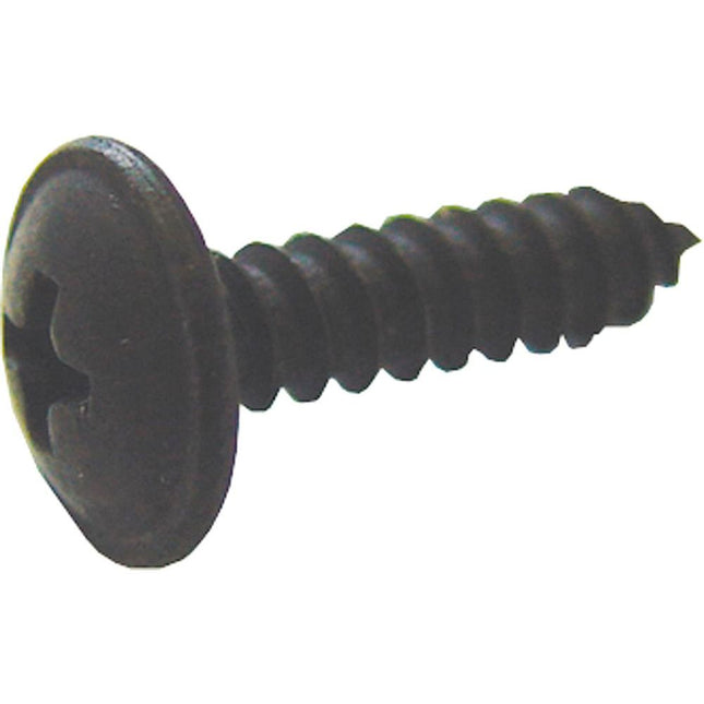 Blechschraube mit Linsenkopf und Bund  4.2 x 19 D63558
