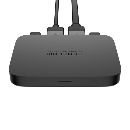 EcoFlow Alternator Ladegerät mit bis zu 800 W für Powerstations Delta EFALT/800W - Hischier Auto AG