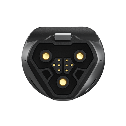 EcoFlow Delta Pro EV X-Stream Adapter EFDelta/PRO/EVX - Hischier Auto AG