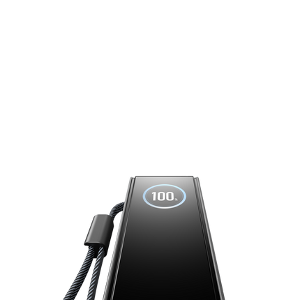 EcoFlow – RAPID-Powerbank mit 25’000 mAh, grau, mit integriertem Kabel