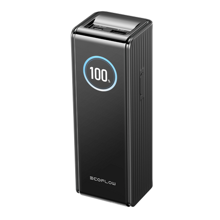 EcoFlow – RAPID-Powerbank mit 25’000 mAh, schwarz, exkl. Kabel