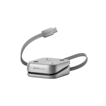 EcoFlow – RAPID Pro X-Powerbank mit 27’650 mAh - 1 - Stück EcoFlow
