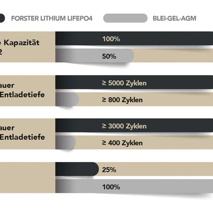 Forster LiFePO4 Lithium - Premium - Batterie 12 V 100 Ah, 1'280 Wh Forster