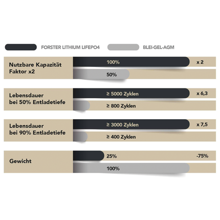Forster LiFePO4 Lithium-Batterie 12 V 100 Ah High Power Li12V100Ah/FHPD - Hischier Auto AG