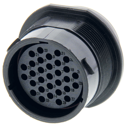 "Deutsch" - Steckdose 31-pol