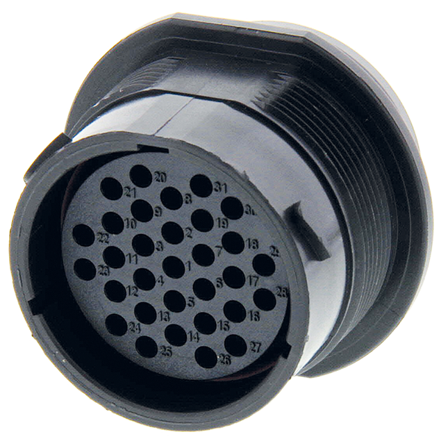 "Deutsch" - Steckdose 31-pol