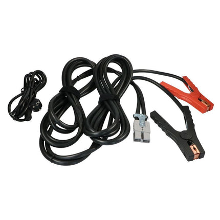 Batterie-Ladegerät 12 V 100 A INC100 - Hischier Auto AG