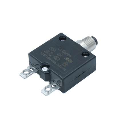 Sicherungsautomat 50 A