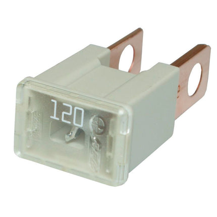 PAL-Straight Male Sicherung 120A