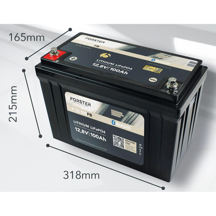 Forster LiFePO4 Lithium-Batterie 12 V 100 Ah Li12V100Ah/F - Hischier Auto AG