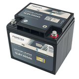 Forster LiFePO4 Lithium-Batterie 12 V 50 Ah Li12V50Ah/F
