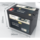 Forster LiFePO4 Lithium-Batterie 12 V 60 Ah High Power Li12V60Ah/FHP