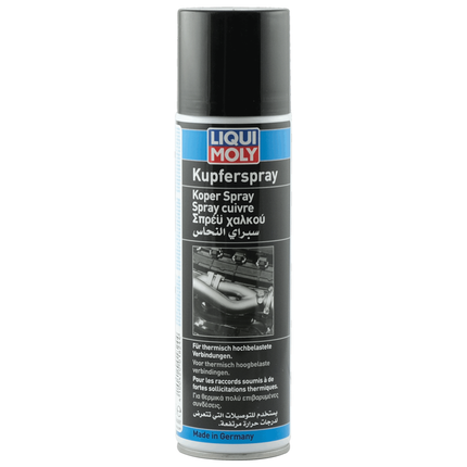 LIQUI MOLY Kupferspray LM1824 - Hischier Auto AG