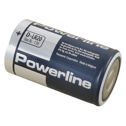 D - Panasonic Batterien, Packung mit 10 Stk. LR20/10 - Hischier Auto AG