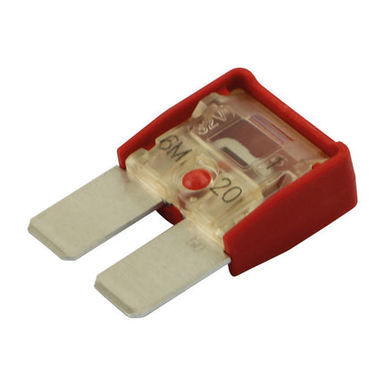 M8-Compact-Sicherung 50 Amp.