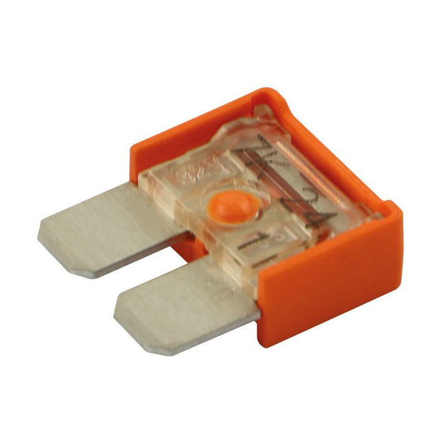 MAXI-Compact-Sicherung 40 Amp. MAXICOMPACT40