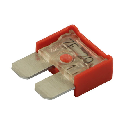 MAXI-Compact-Sicherung 50 Amp.