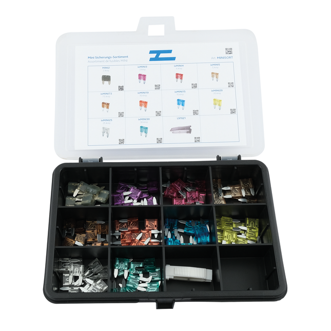 ixMini-Sicherungs-Sortiment mit 100 Sicherungen