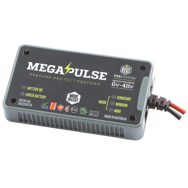 Megapulse Batteriepflege 6-48V MP2 - Hischier Auto AG