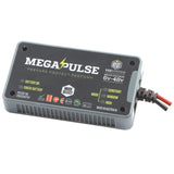 Megapulse Batteriepflege 6-48V MP2