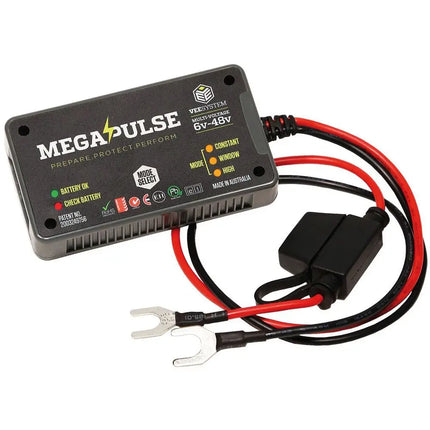Megapulse Batteriepflege 6-48V - 1 - Stück Diverse